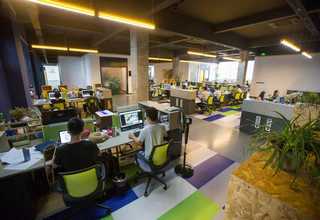 黑龙江全过程运输代理批发价格