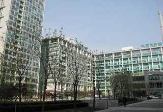 品质金葱粉供应商