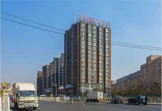 菏泽陶瓷用合成骨粉多少钱